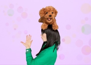 Die Xili-Macadamia-Handpuppen-Show