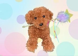 Die Xili-Macadamia-Handpuppen-Show