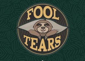 FoolTears – Covers von Pop über Rock bis Soul