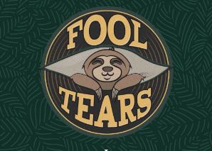 FoolTears – Groupe de reprises de Langenthal