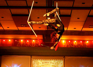 Art en Air - Acrobaties aériennes