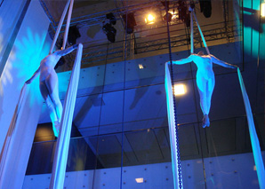 Art en Air - Acrobaties aériennes