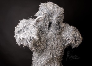 Walking Act – «Party Pom Pom»