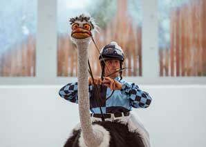 Scheppe & Boko : Men On Birds – divertissement à cheval