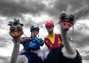 Scheppe & Boko: Men On Birds – mounted entertainment