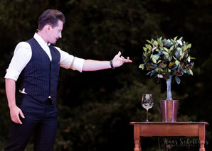 Rafael Scholten - The magician for your special events