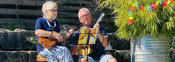 Les fleurs de sureau avec uklele et harmonica