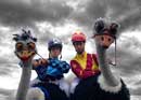 Scheppe & Boko: Men On Birds – mounted entertainment