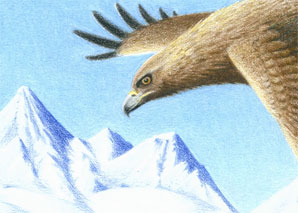 Xenegugeli, the animal ABC